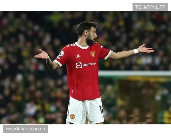 B费争议不断却仍不可替代的原因解析